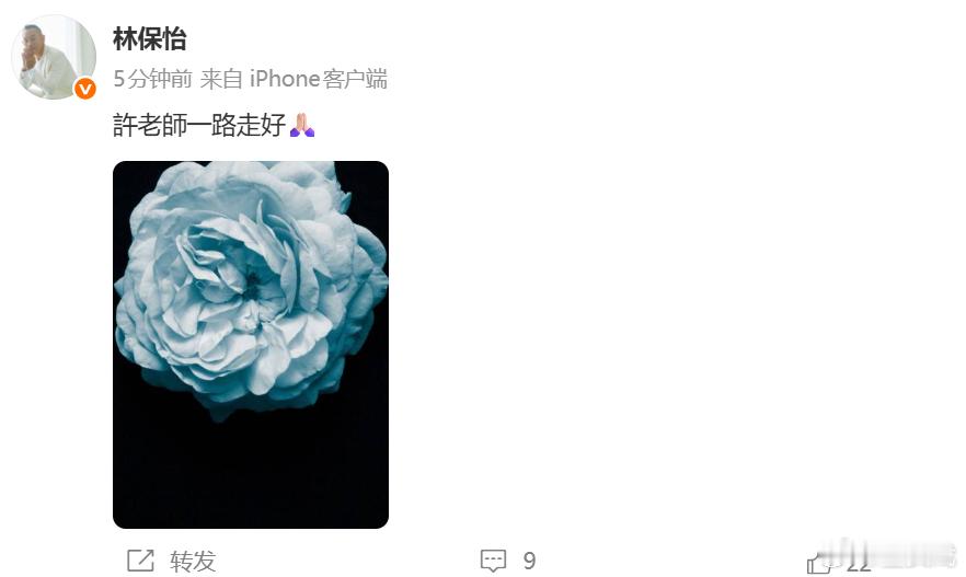 林保怡悼念许绍雄林保怡发文悼念许绍雄林保怡发文悼念许绍雄。​​​