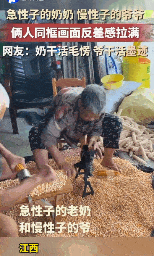 这就是生活！江西，两位老人家围着一堆金黄的鲜玉米剥皮，硬是剥出了一场引人侧目的“