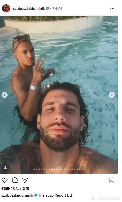 索博的2025年总结，其中有一张和阿诺德的泳池合影当然，也有喜迎孩子出身，20