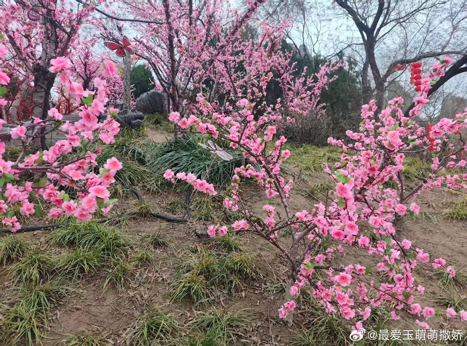 生活手记现代爱情与婚姻，本是基于信任与忠诚构建的亲密关系，一旦遭遇背叛，根基极易