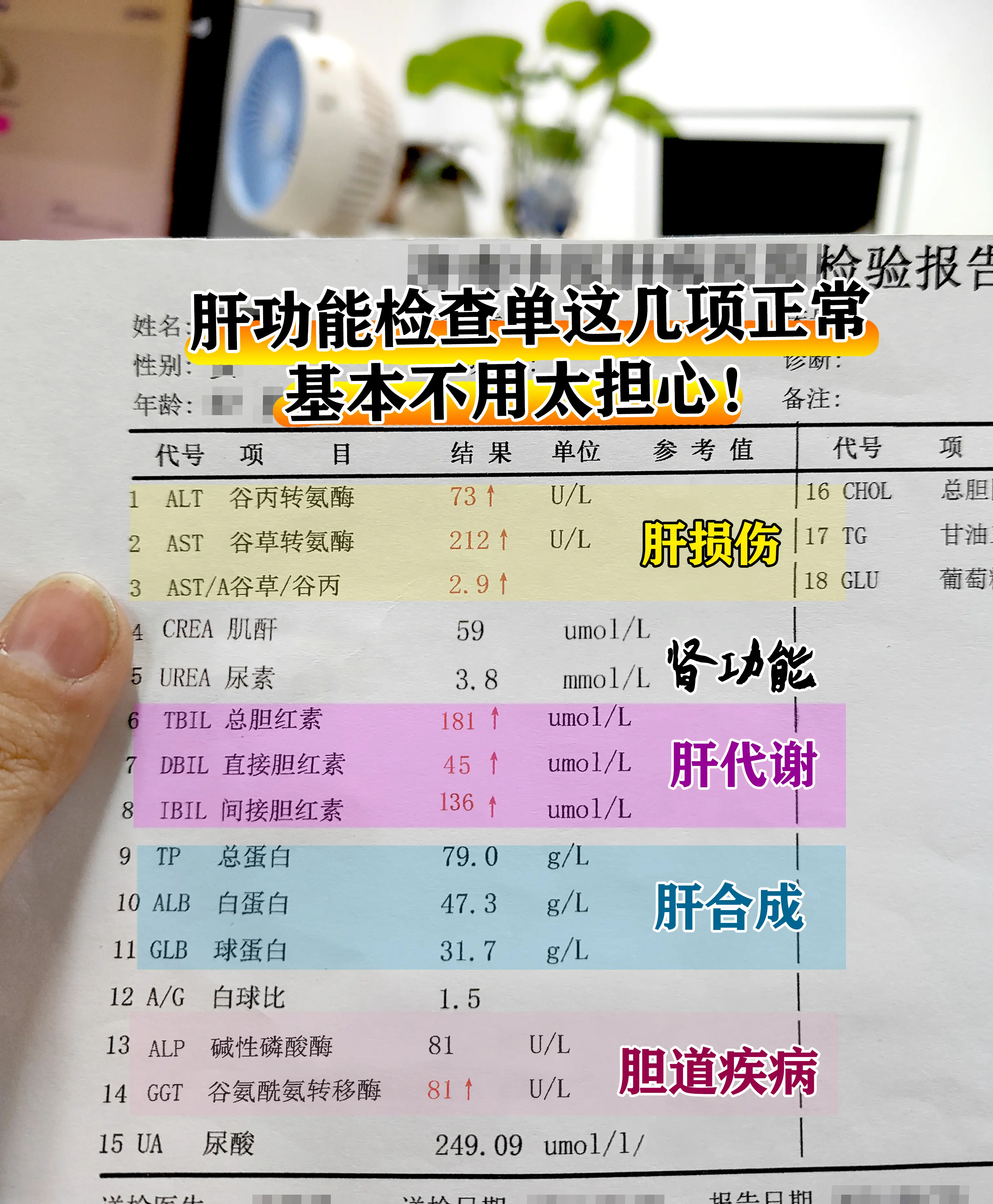 肝功能检查单这几项正常基本不用太担心！。这两天让我分析化验单的比较多...