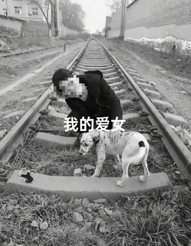 陕西，31岁女护士董某某被同居男友师某某杀害，案发当天，师某某在车上割破董某某的