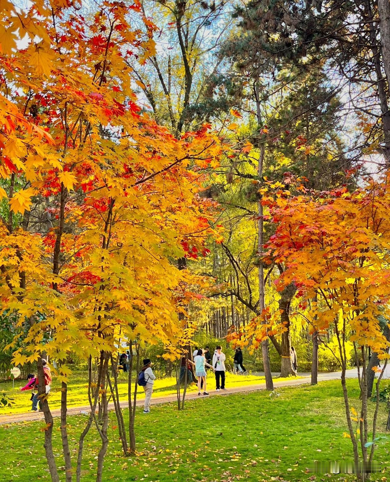 时维季秋，木叶摇落兮，风飒飒以过庭。余独立乎山阿，望长天而太息兮，云悠悠其西行