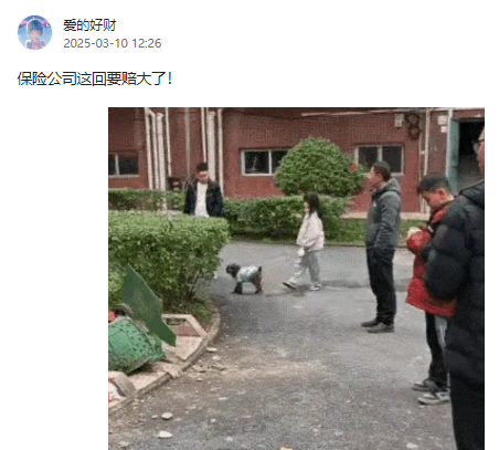 又不是承重墙能赔多少[微笑]