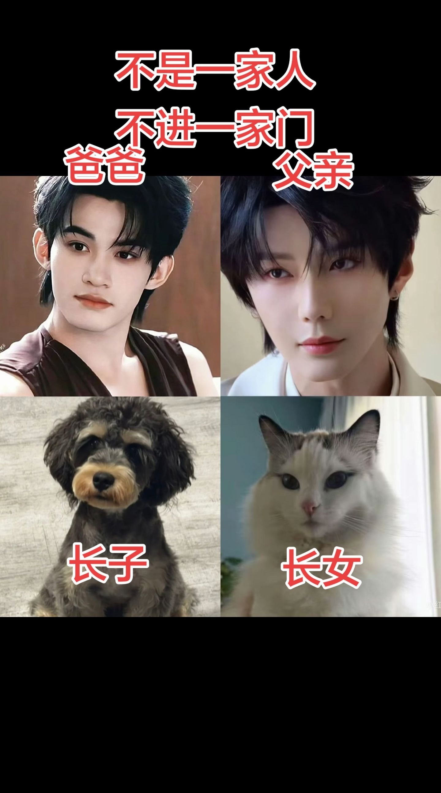 不是一家人不进一家门你俩这辈子就给我锁亖就行了