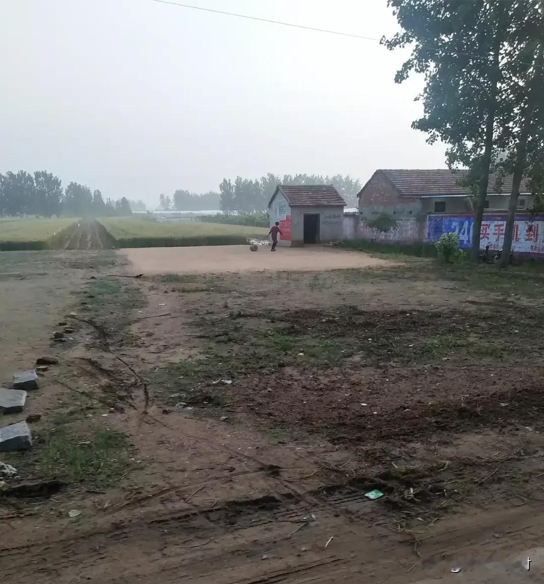 早晨路过一村头，发现有个人正在拉着碌碡压晒场，很难想像现在还有人准备用这种方式晒