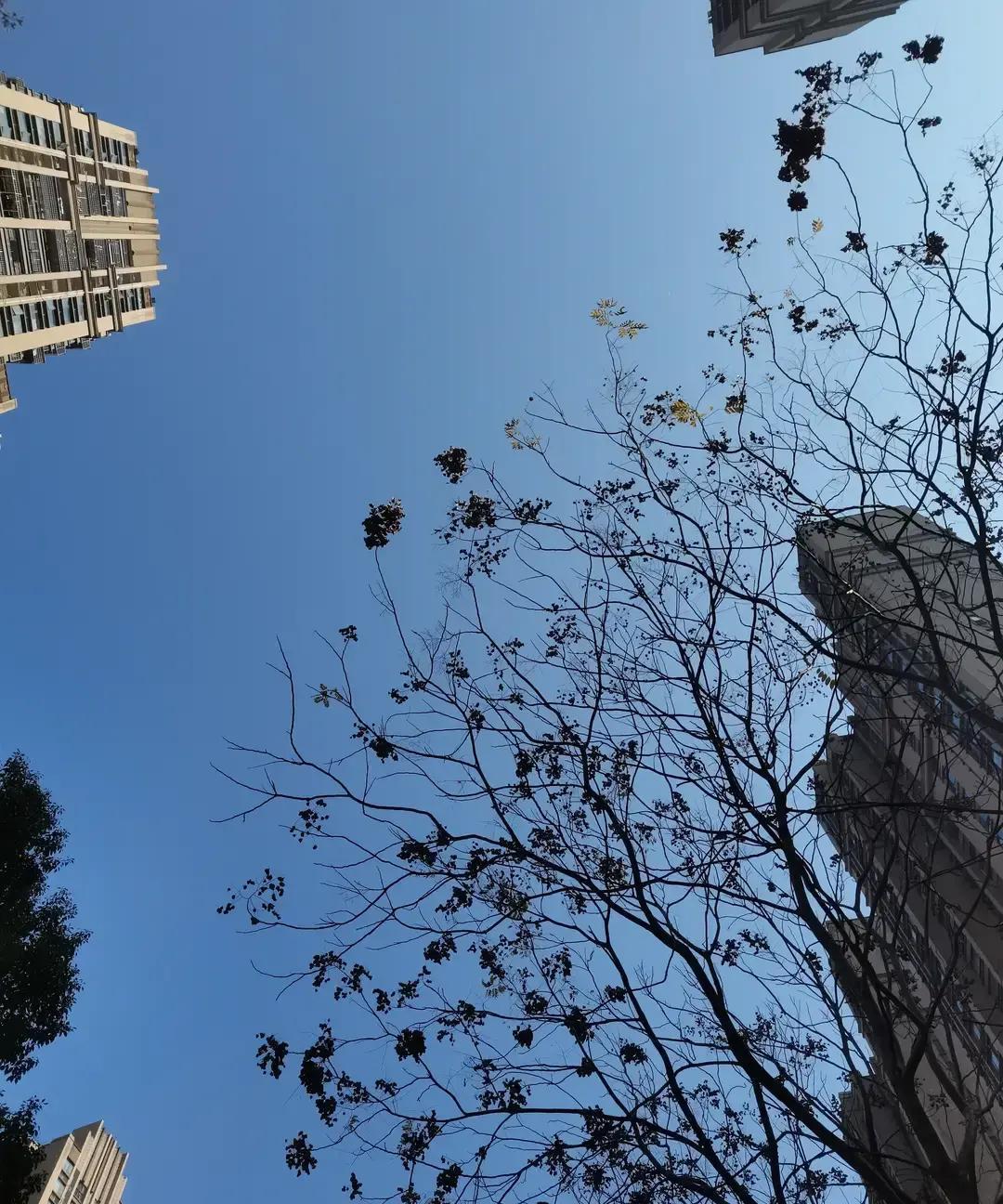 女儿27岁还在家昨天她第8次说搬出去，我第8次把话咽回去。洗衣机里堆着三天