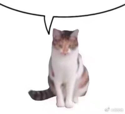 我觉得猫塑真的不应该把猫想的太聪明，猫就是一个智商低脾气阴晴不定做错了事根本意识