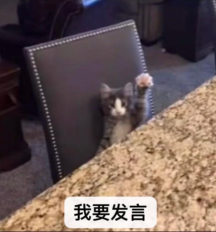表情包\审美积累\猫咪\可爱表情包\搞笑表情包\抽象