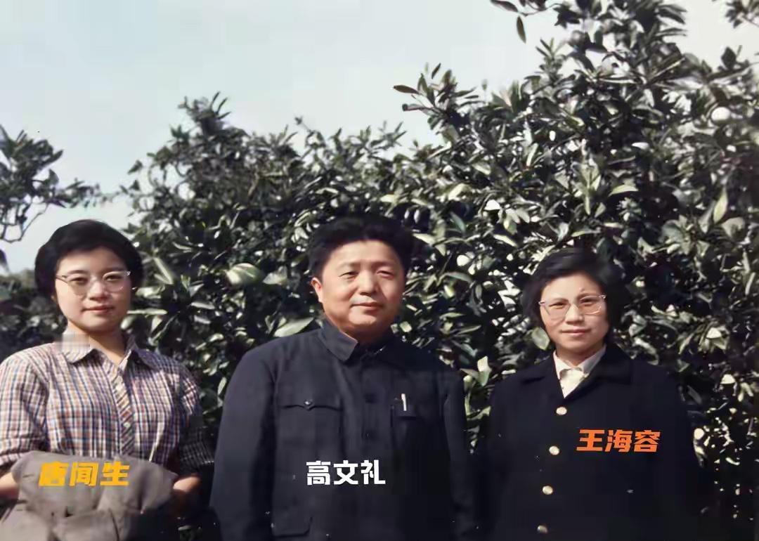 1970年冬天的长沙，高文礼在九所3号楼推着一把轮椅。轮椅上坐着那个决定中国