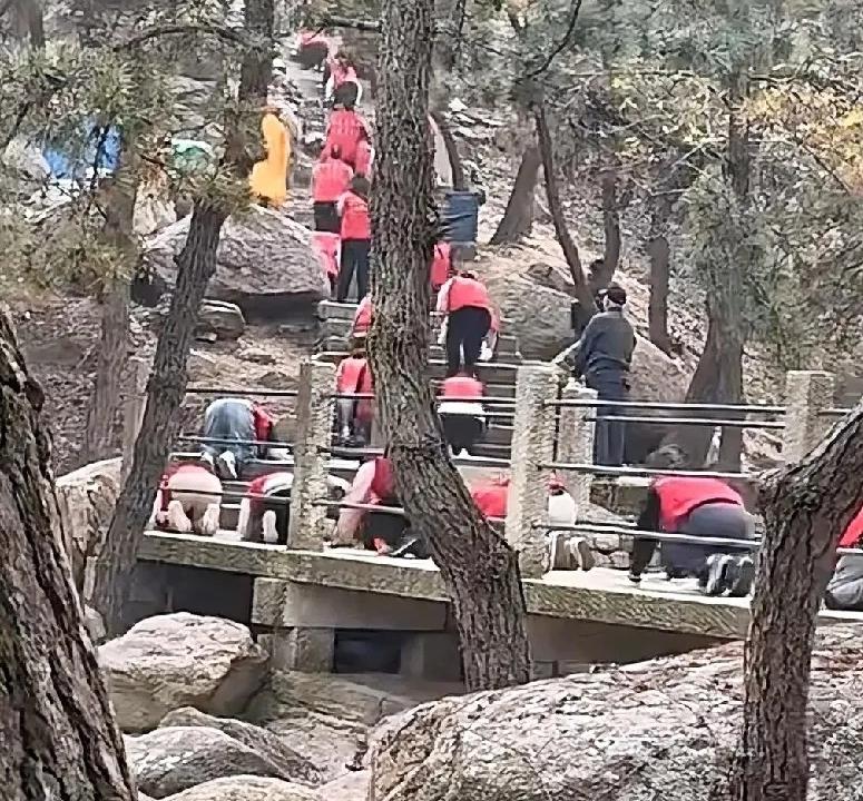 近日，青岛市西海岸新区大珠山出现了一群穿红马甲的人，他们一步一跪一磕头上山朝拜，