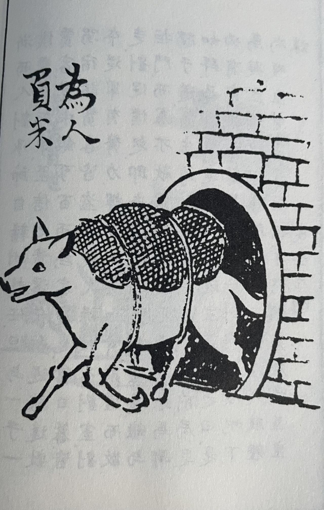 被困城中粮食断绝，这只狗竟成了全家的救命恩人五代时期，杨光远在青州叛乱。孙中