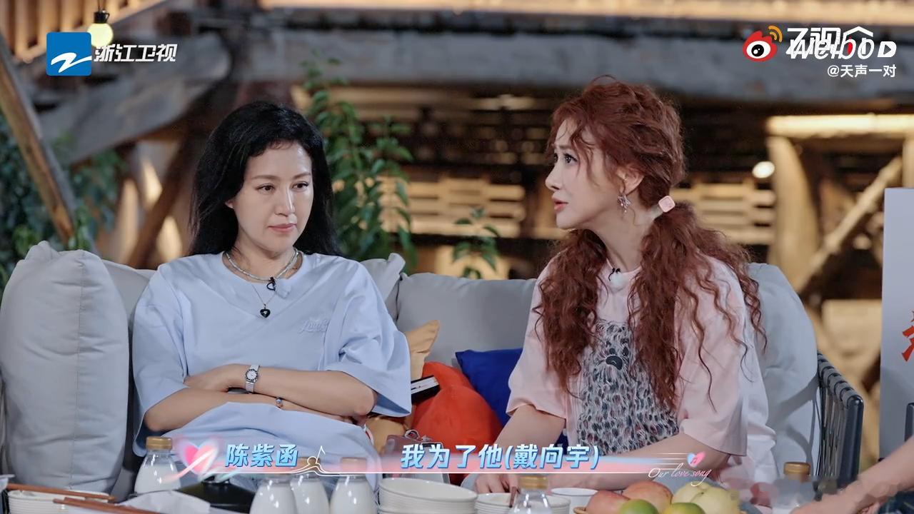 陈紫函3年做了12次试管陈紫函为了戴向宇停工3年做12次试管​​​陈紫函在节目