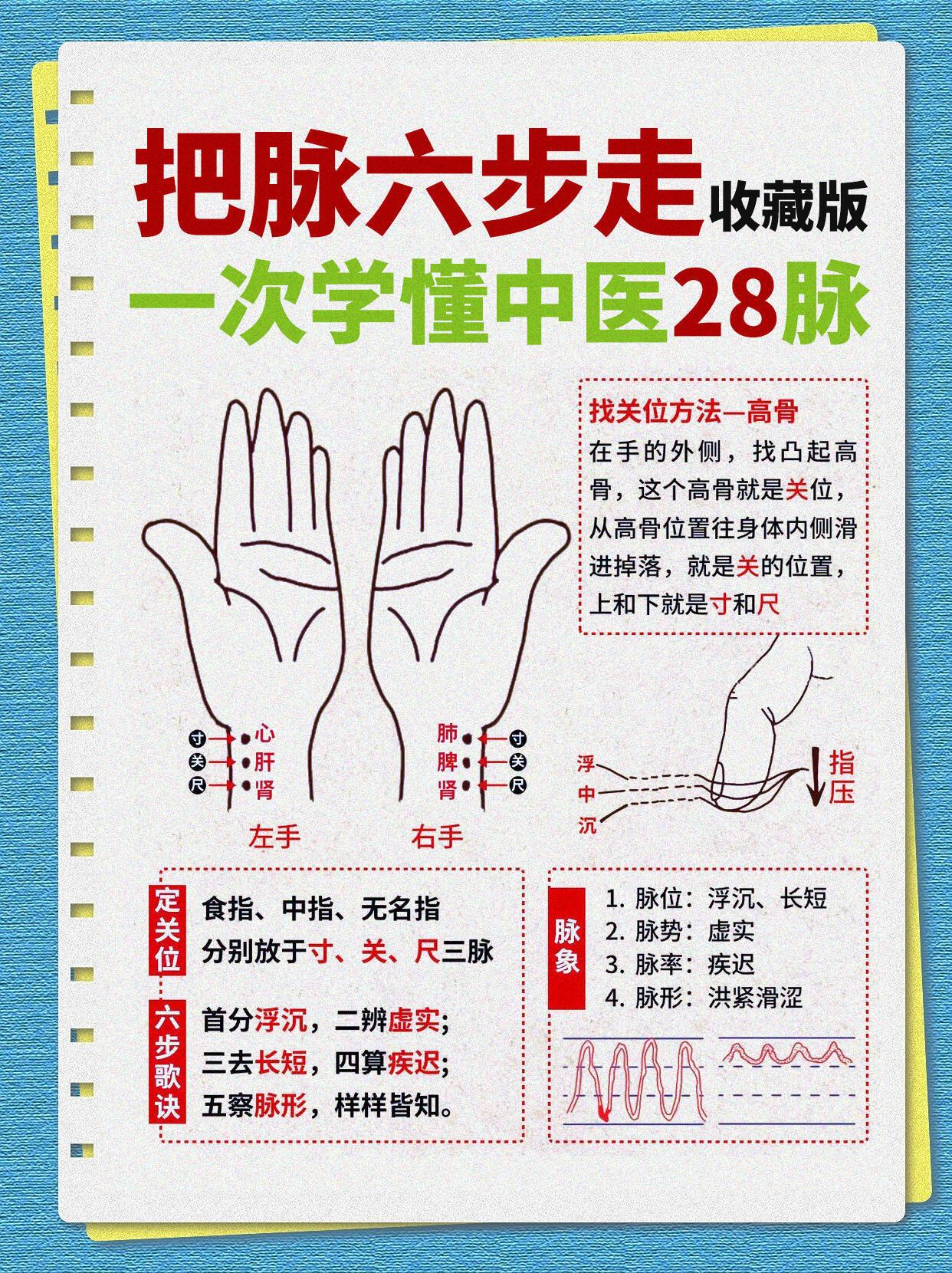 📚零基础也能看懂！中医28脉“把脉六步走”全图解很多人觉得中医“号