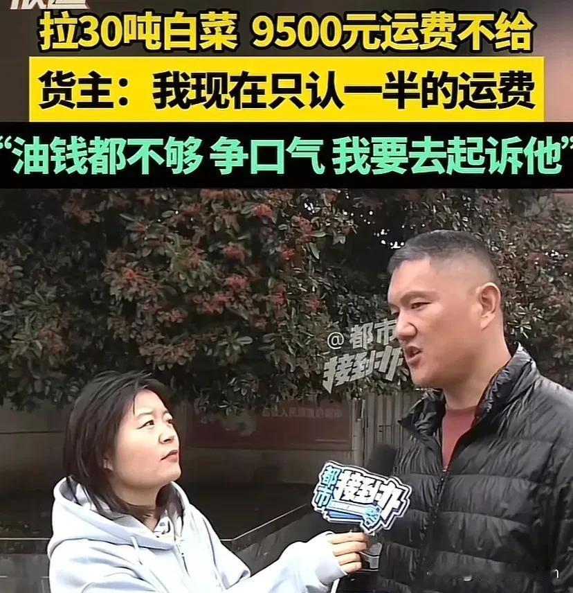 “太坏良心了！”一货车司机连夜帮人从内蒙巴彦淖尔临河拉了30多吨大白菜到开封通许