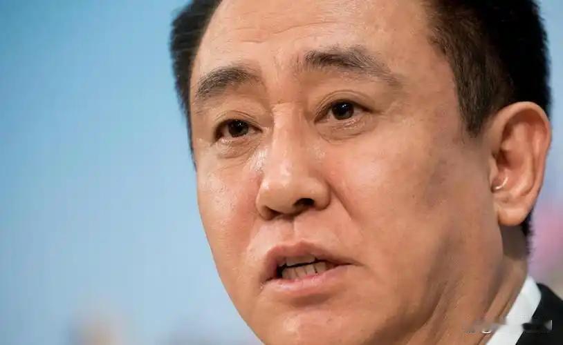 盘点许家印那些最重要的社会荣誉！许家印有很多国家级的荣誉和地位，但是含金量最高