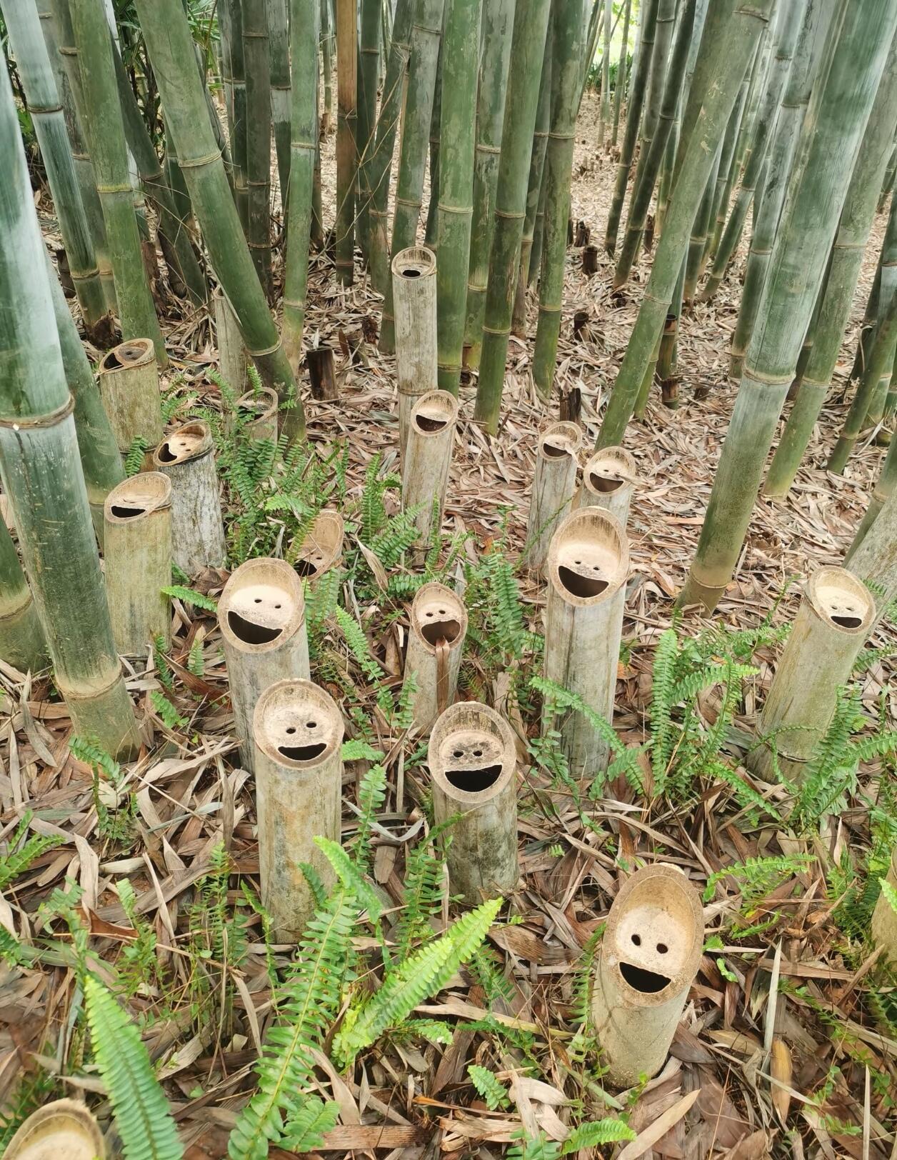 这也太离谱了吧