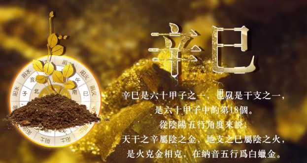 辛巳月本月需注意事项如下：