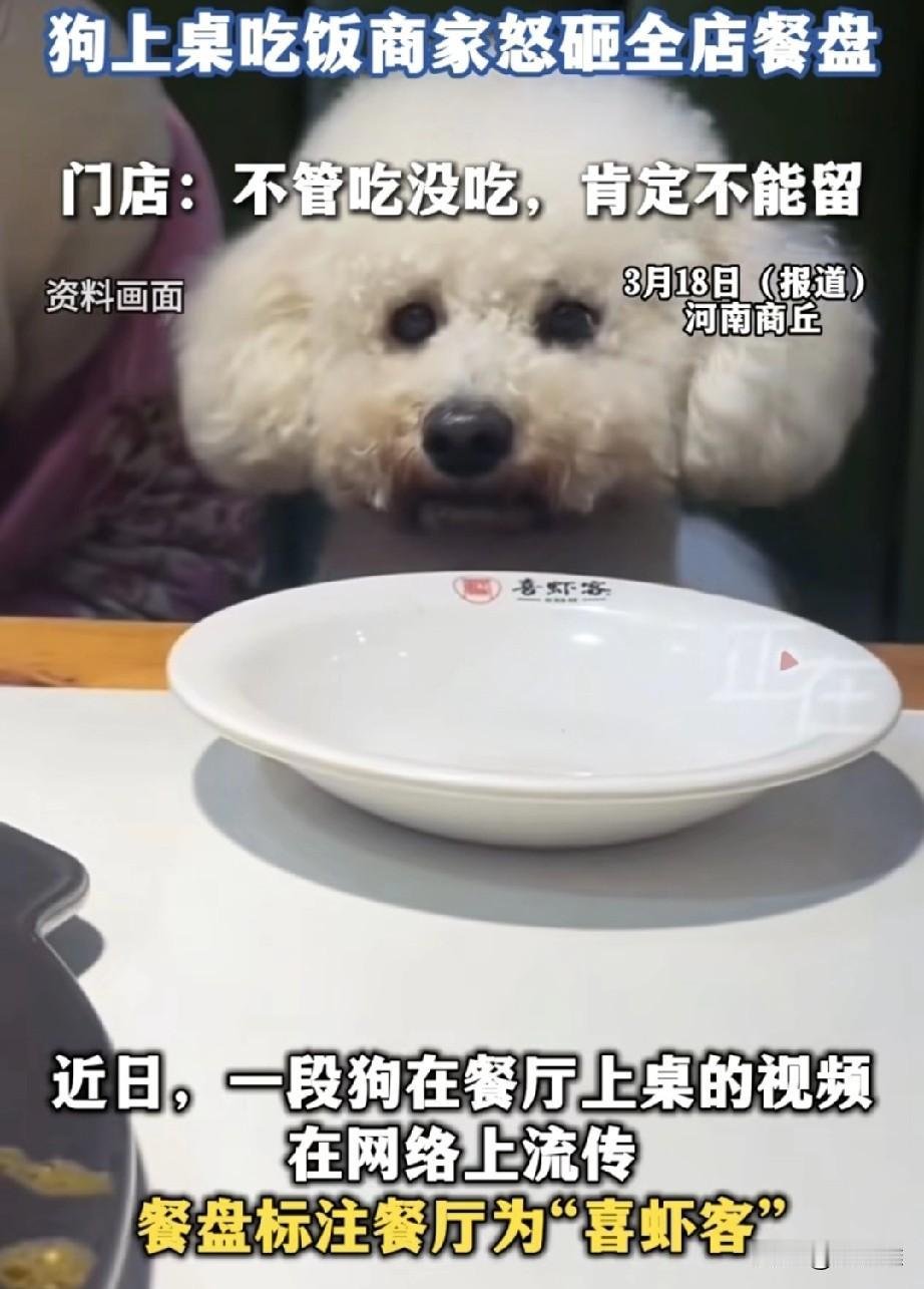 “太至于了！”女子带宠物狗进饭店用餐，还让狗蹲在桌子上逗它，有顾客投诉称还看到狗