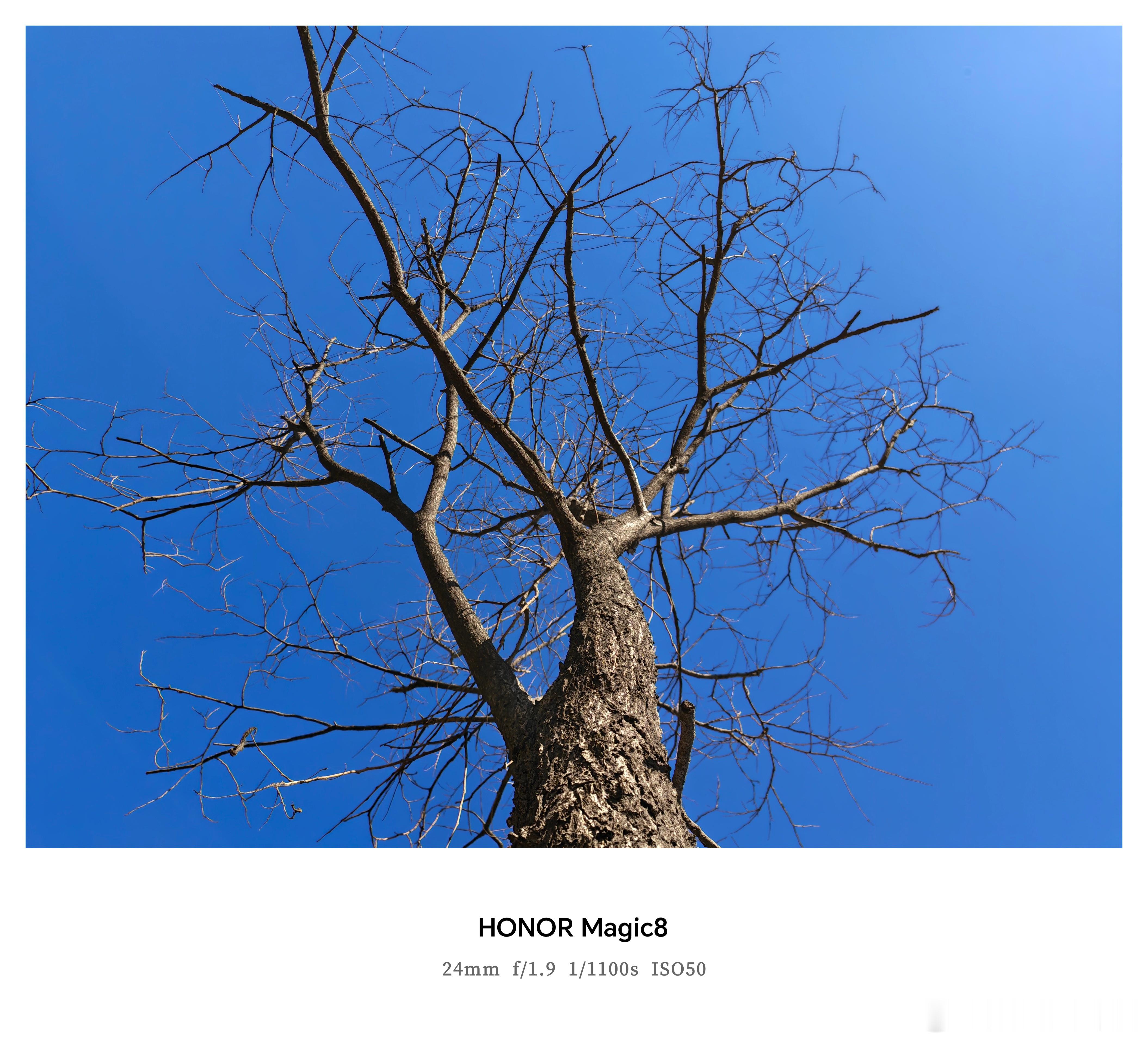 今天这小天是真蓝呐！​​​