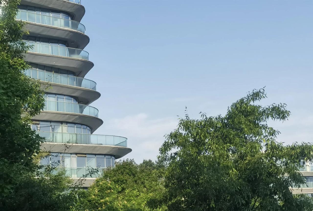 说实话，五十多岁真的没必要跟旅行团出去旅游，出去了那可真是活遭罪，起早贪黑地赶路