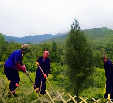 这是少林寺前方丈释永信与外国信徒在山上植树。释永信非常娴熟地使用铁锹挖土，而外国