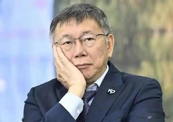 2024年被坑惨，2026年又被捅刀，国民党到底还要被柯文哲骗多少次才肯回头？