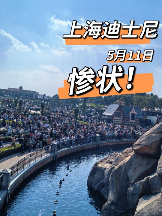 上海迪士尼5🈷️11号惨状！近期来的务必听劝！