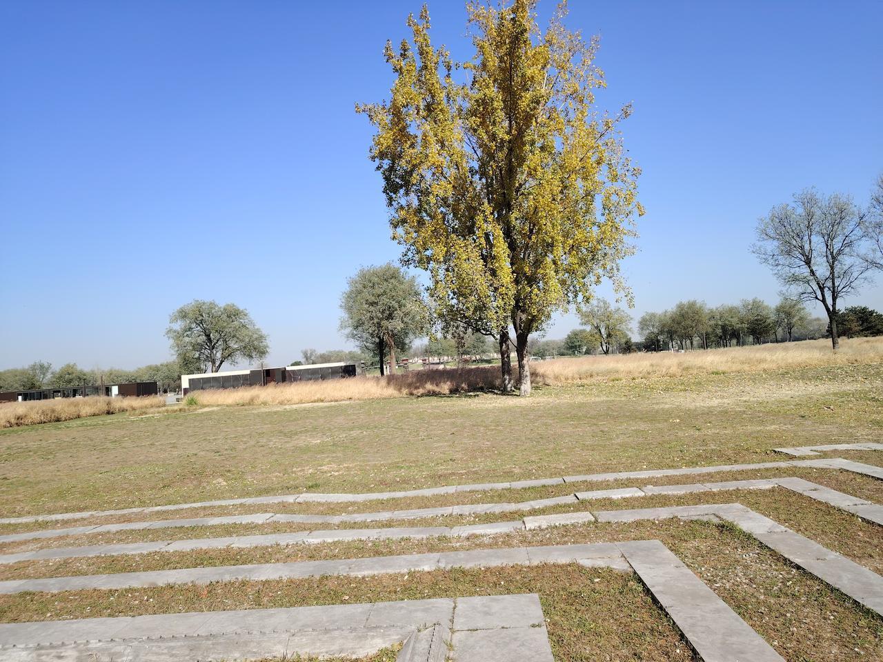 有一所学校，会议极为繁多。周一清晨，学校举行升旗集会，全体领导、师生都需参加。