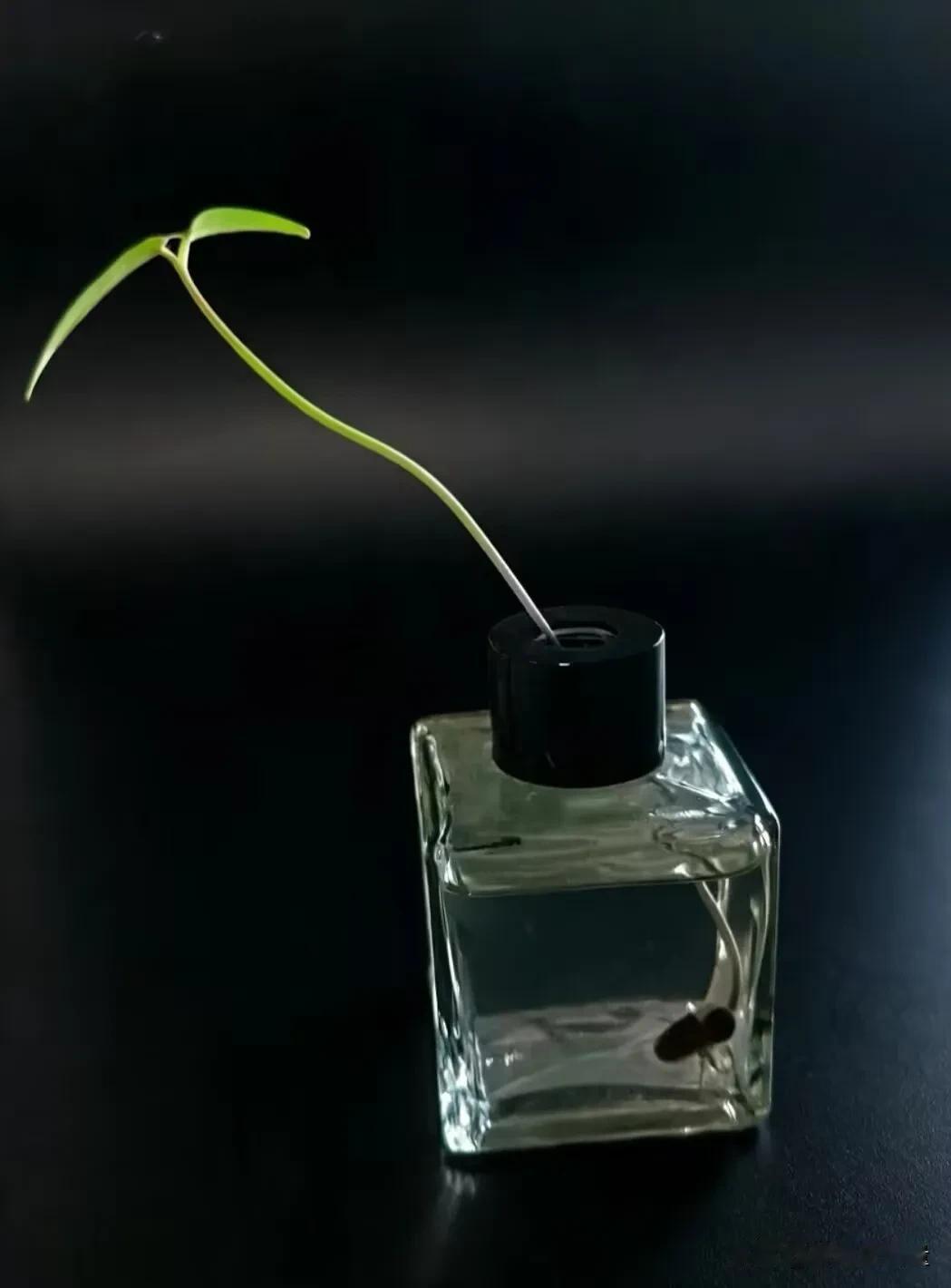 人间清醒的九句话，读完大彻大悟1. 不要拿你的善良，去惯不懂感恩的人。心软
