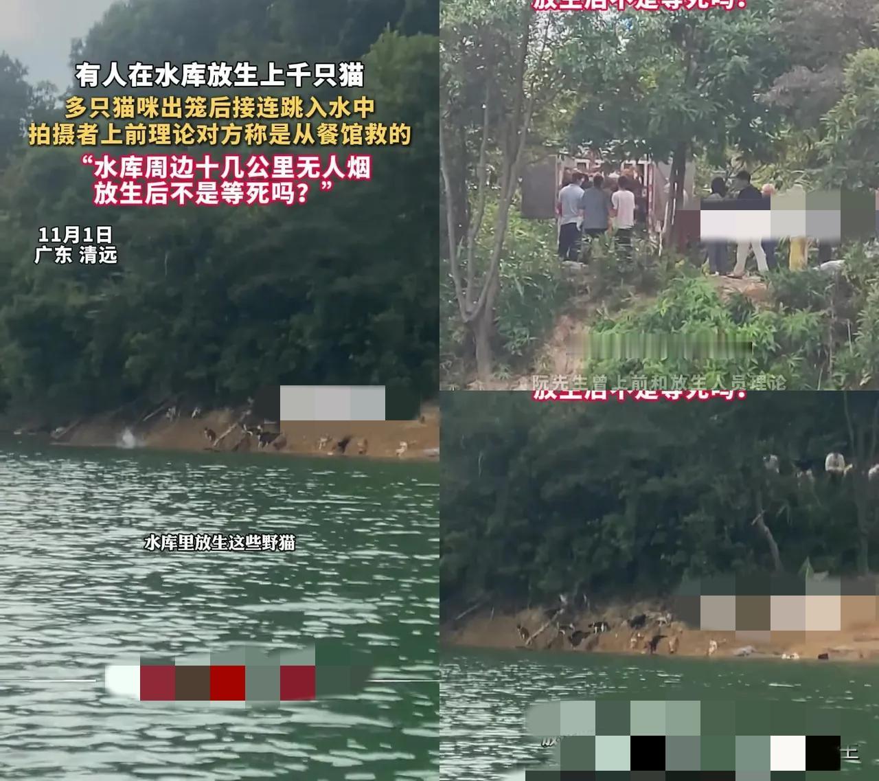 见过缺德的放生，但没见过把水库变成集体坟场的！当广东清远那几卡车