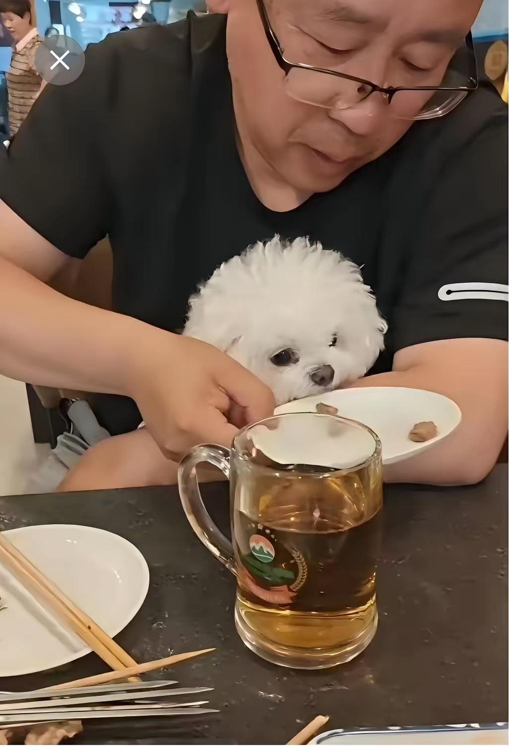 狗东西！屡屡出现用饭店餐具喂狗的事件，这是怎么了？狗主人固然可恨，但是，饭店难辞