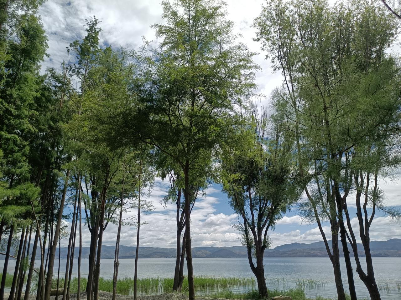 今日洱海分享一张风景照片大理的风花雪月究竟指的是什么?