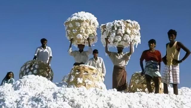 印度对中国玩“鬼把戏”？将棉花低价卖给中国，再高价买回去，印度的这一操作简直太神