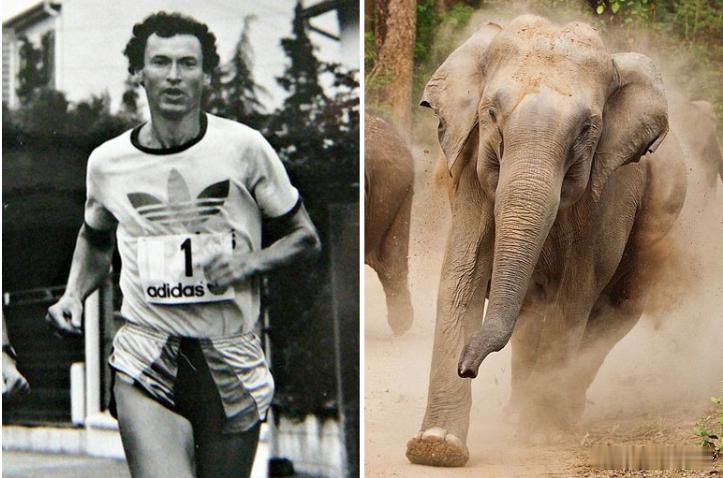 搜外国田径名将往事时，意外看到一条悲惨的，我是第一次知道。法国长跑选手博克斯博格