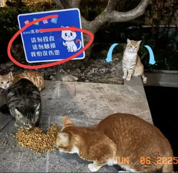 没想到啊没想到！三亚蛇咬死人事件最大赢家出现了！不是生产蛇毒血清的企业，而是那些