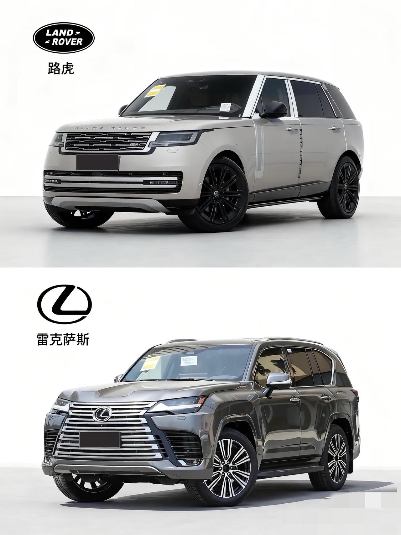 雷子和揽子，谁更大哥？在国内的话知名度价格揽子碾压雷子是没问题的，国内暴发户