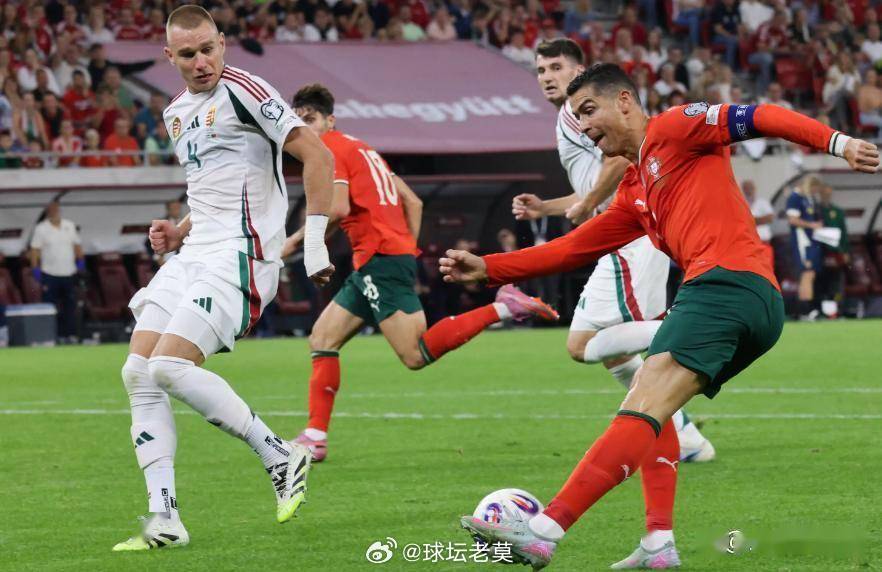 今日公推菜单：哥伦比亚vs葡萄牙069世界杯哥伦比亚VS