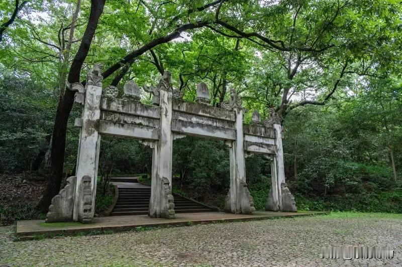 1879年，浙江巡抚午休醒来后和贴身丫鬟有了一段情事，竟让她怀上了日后名震一方的