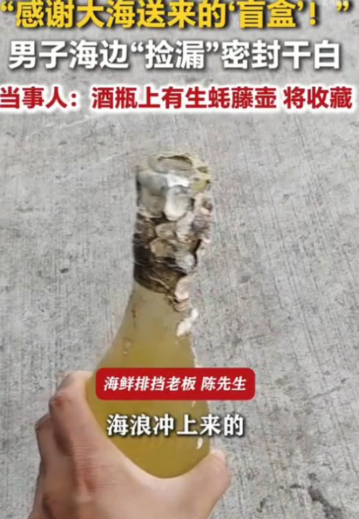 浙江舟山，一位做海鲜排档生意的老板，平日里一有空就会到附近海边赶海，这天退潮之后