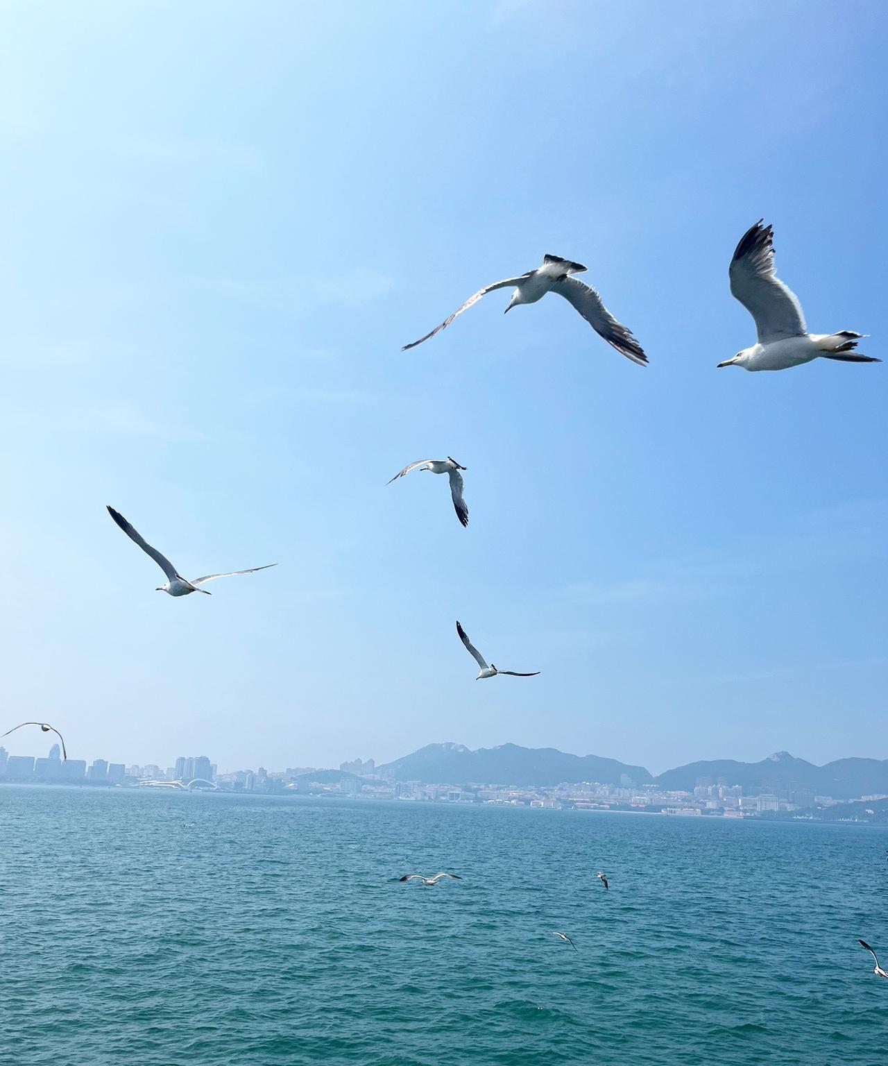 曾仕强先生曾言：“我几十年的观察，我可以告诉各位，做人太实在的是不会有好下场的。