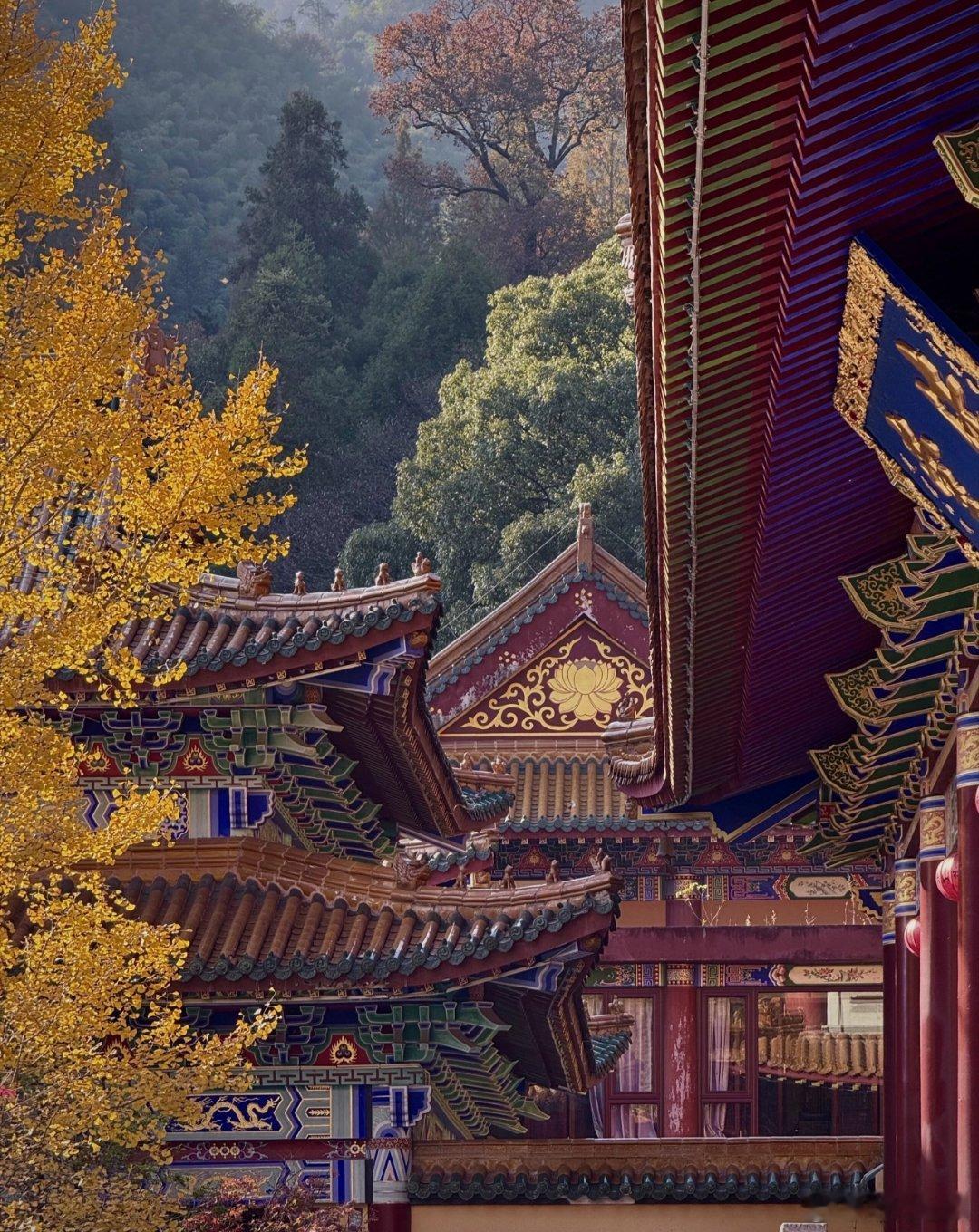 提到凌烟阁二十四功臣，很多人会想到秦琼、尉迟恭这些家喻户晓的猛将，或是房玄龄、魏