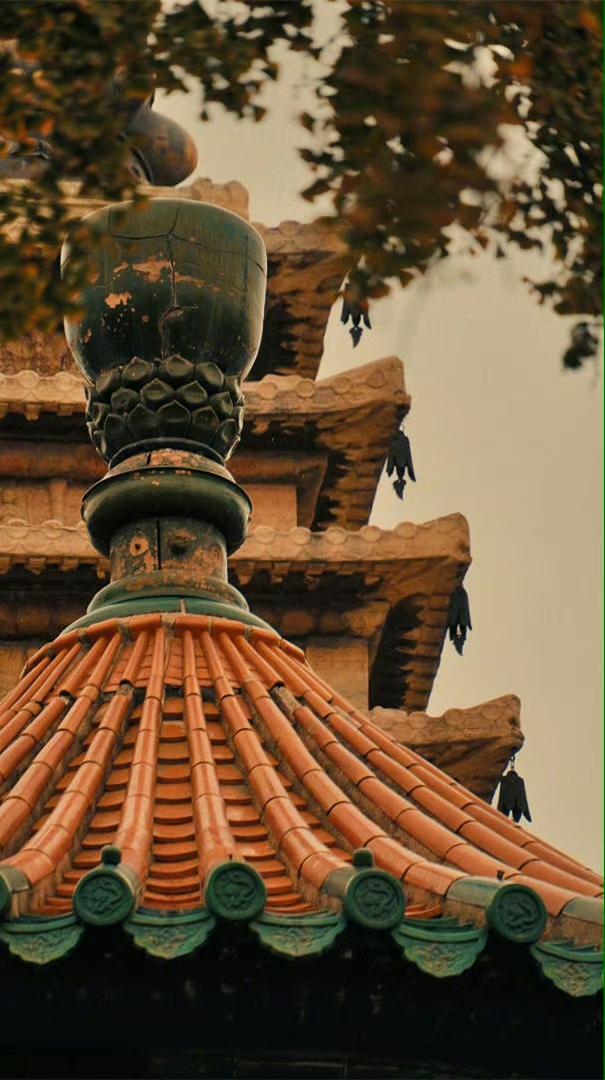 男人越有钱，家庭越容易离婚！男人只要从低级到高级，从普通人到有钱人，从无权