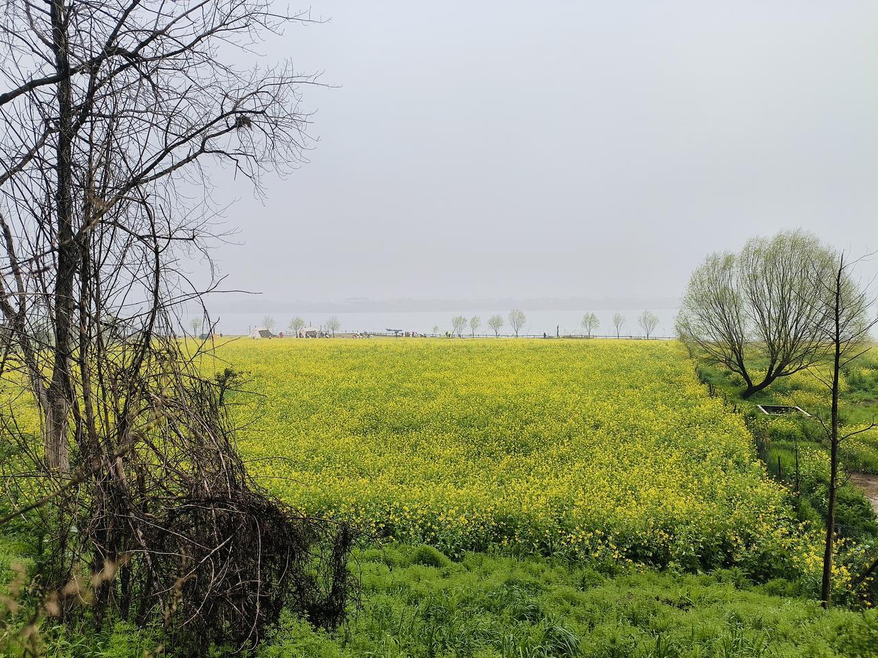 春雨润城！长沙将迎持续阴雨天气3月23日有中到大雨2026年3月17日，