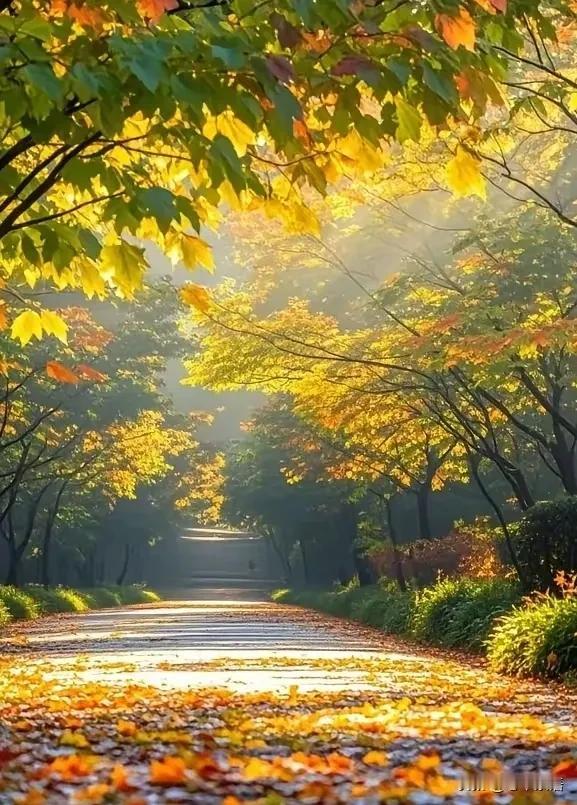 性学专家李银河说：“人一旦过了40岁，就踏上了通往终点的直通车了，中