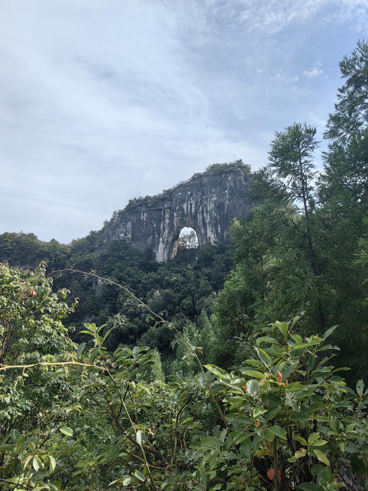 双英集团来了，又一只低门槛新股，快快过来看看你有资格申购吗？双英集团下