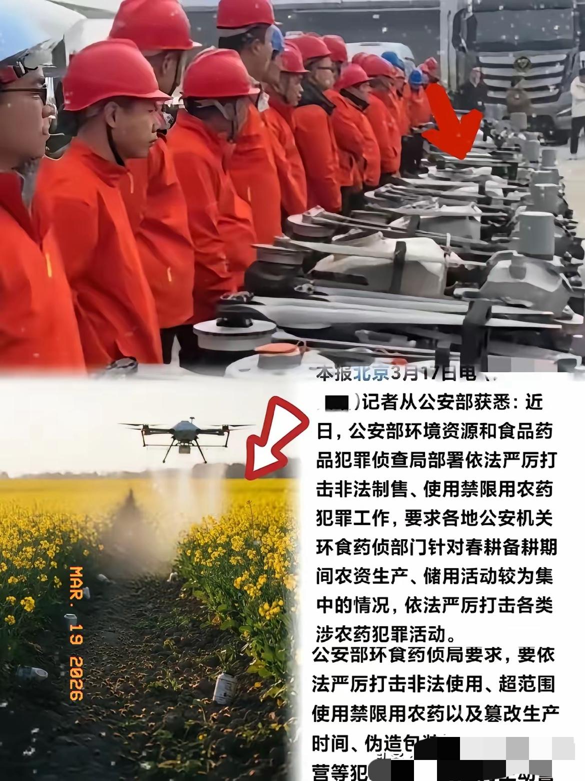 公安部这波涉农药犯罪严打，真的太解气了！红工服围着鼓捣的无人机，竟在油菜花期肆无