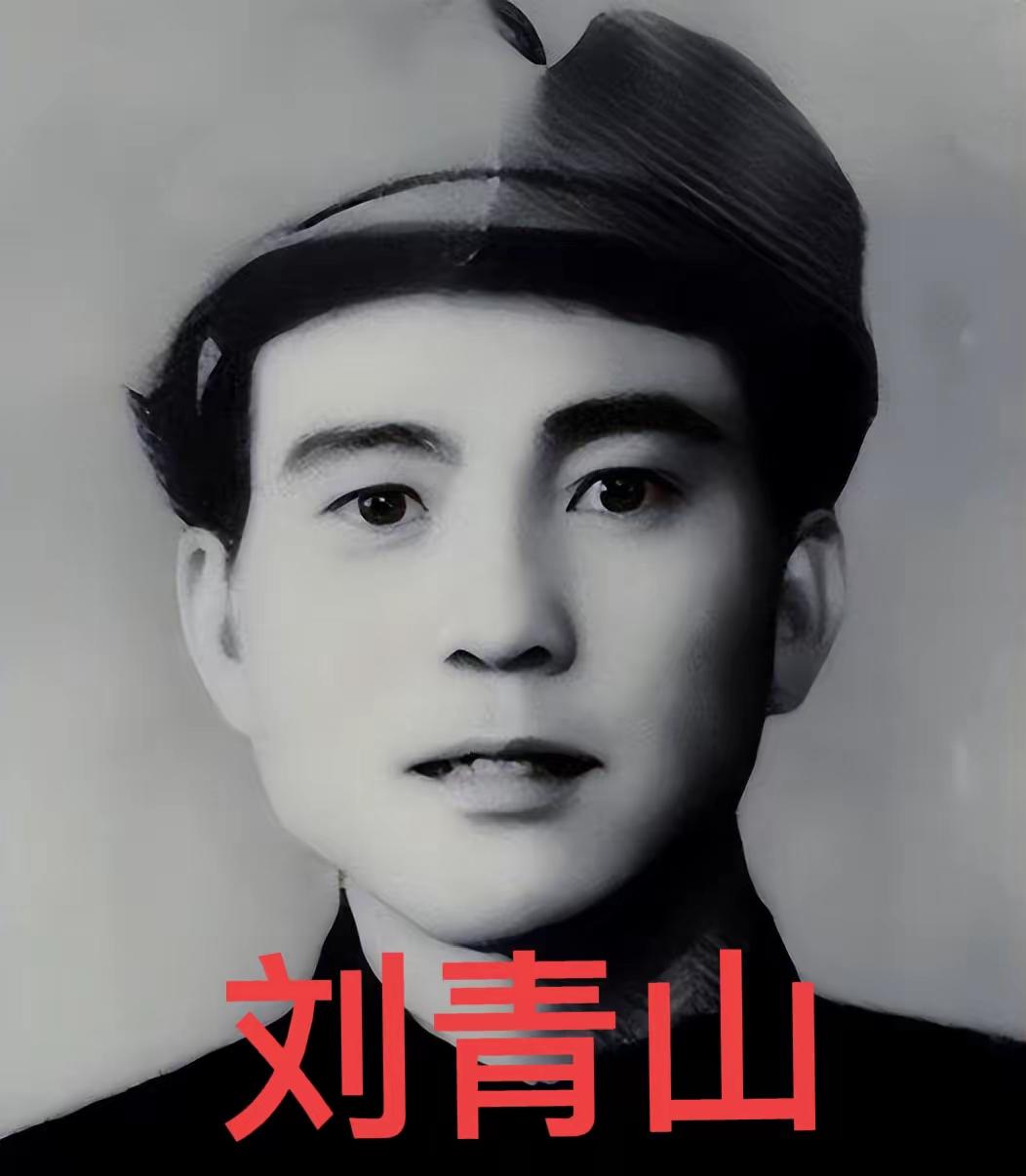 刘青山死后30年，三个儿子找到当年举报者李克才：请给我父亲平反​​刘青山、刘铁