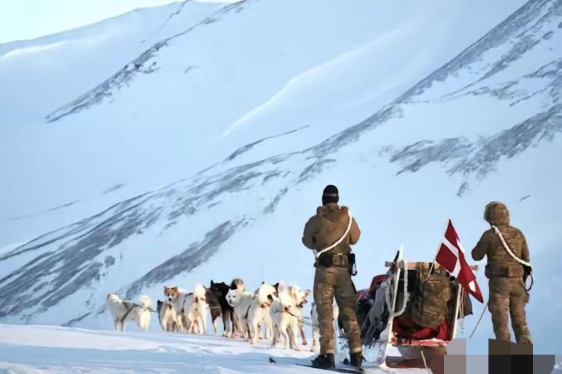 德军不辞而别！丹麦格陵兰军演散伙！丹麦为保卫格陵兰攒了个北极军演，8个欧洲