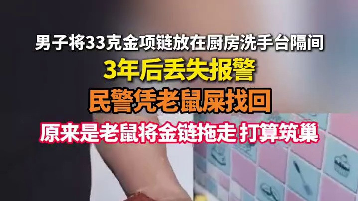 33克金项链丢失民警凭老鼠屎找回，老鼠拖走33克金项链打算筑巢